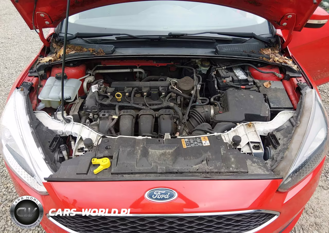 2015 Ford Focus Se VIN:1FADP3F24FL276332 - 10