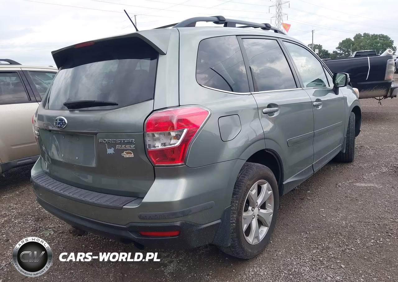 2014 Subaru Forester 2.5I Touring VIN:JF2SJAMC0EH499733 - 4