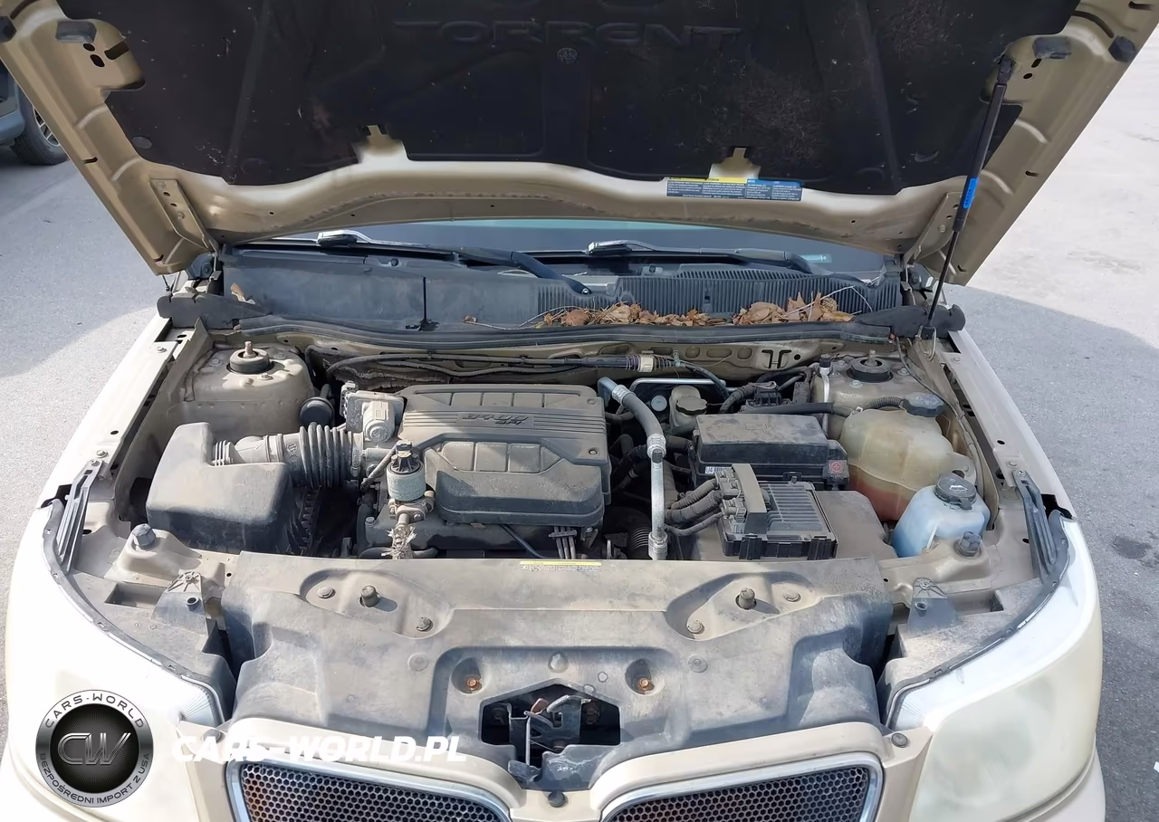 2006 Pontiac Torrent VIN:2CKDL63F466029960 - 10