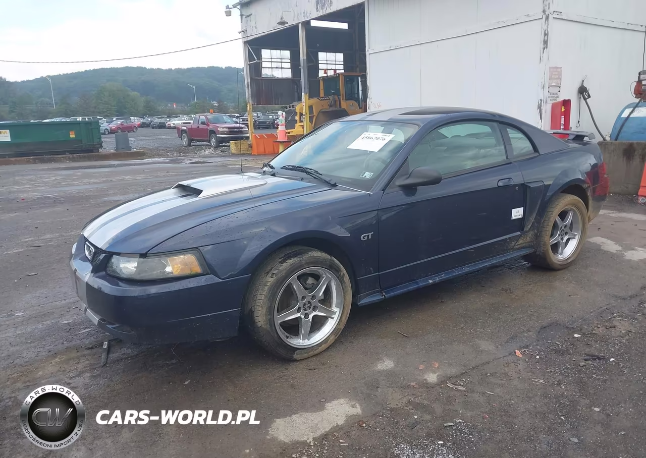 2001 Ford Mustang Gt VIN:1FAFP42XX1F157417 - 2