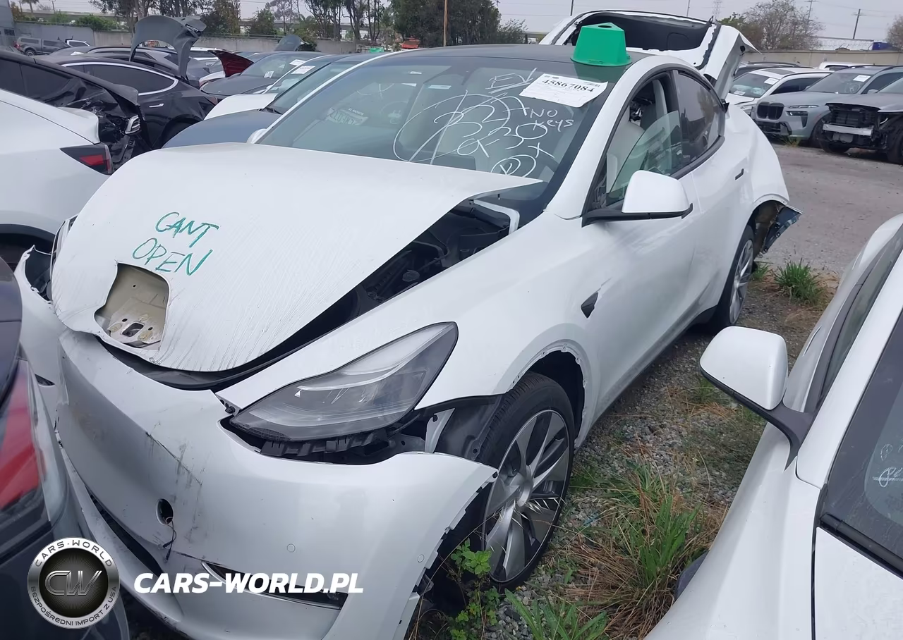 2022 Tesla Model Y Long Range Dual Motor All-Wheel Drive VIN:7SAYGDEE6NF561065 - 2