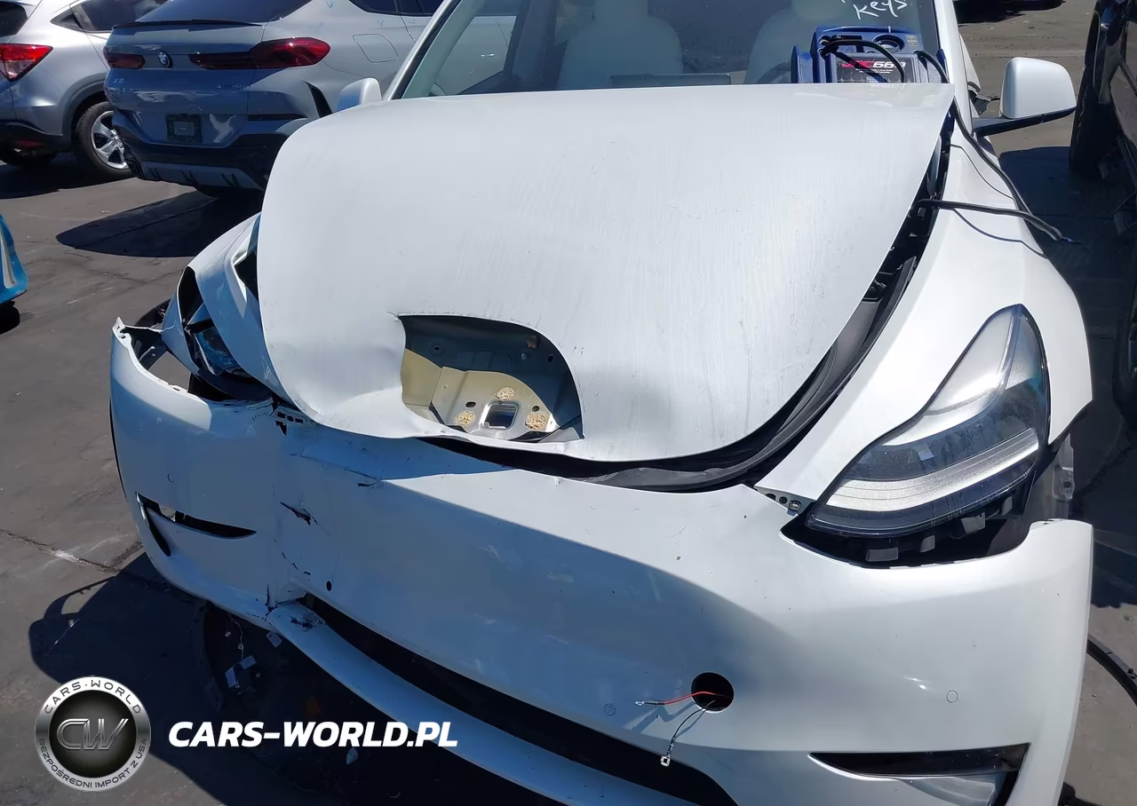 2022 Tesla Model Y Long Range Dual Motor All-Wheel Drive VIN:7SAYGDEE6NF561065 - 6