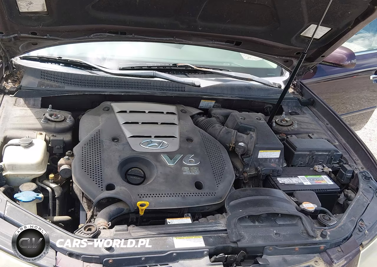 2006 Hyundai Sonata Gls V6-Lx V6 VIN:5NPEU46F16H015289 - 10