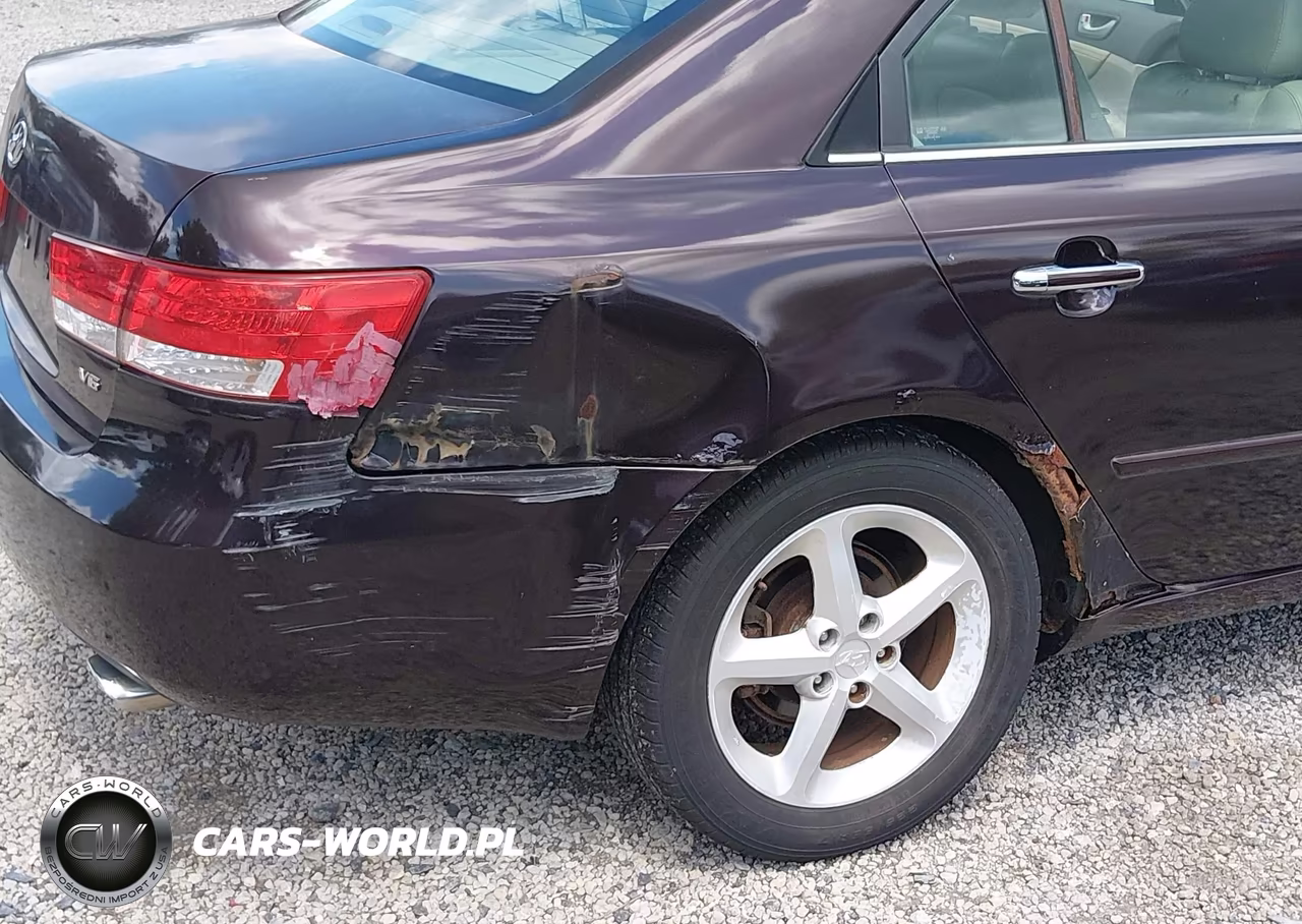 2006 Hyundai Sonata Gls V6-Lx V6 VIN:5NPEU46F16H015289 - 6