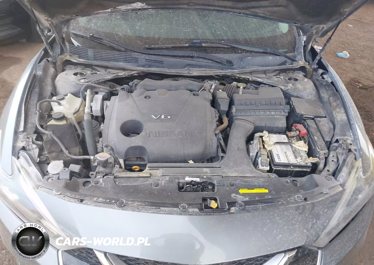 2018 Nissan Maxima 3.5 Platinum VIN:1N4AA6APXJC393205 - 10