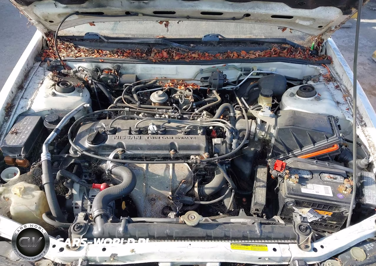 1996 Nissan Altima Xe-Gxe-Se-Gle VIN:1N4BU31D0TC157844 - 10