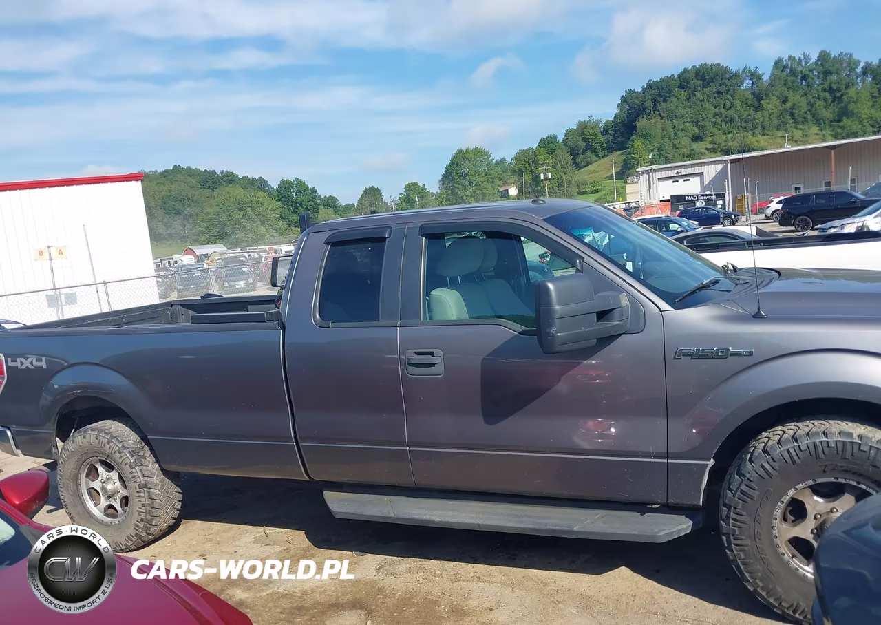 2010 Ford F-150 Xlt W-Hd Payload Pkg VIN:1FTVX1EV7AKE55901 - 13