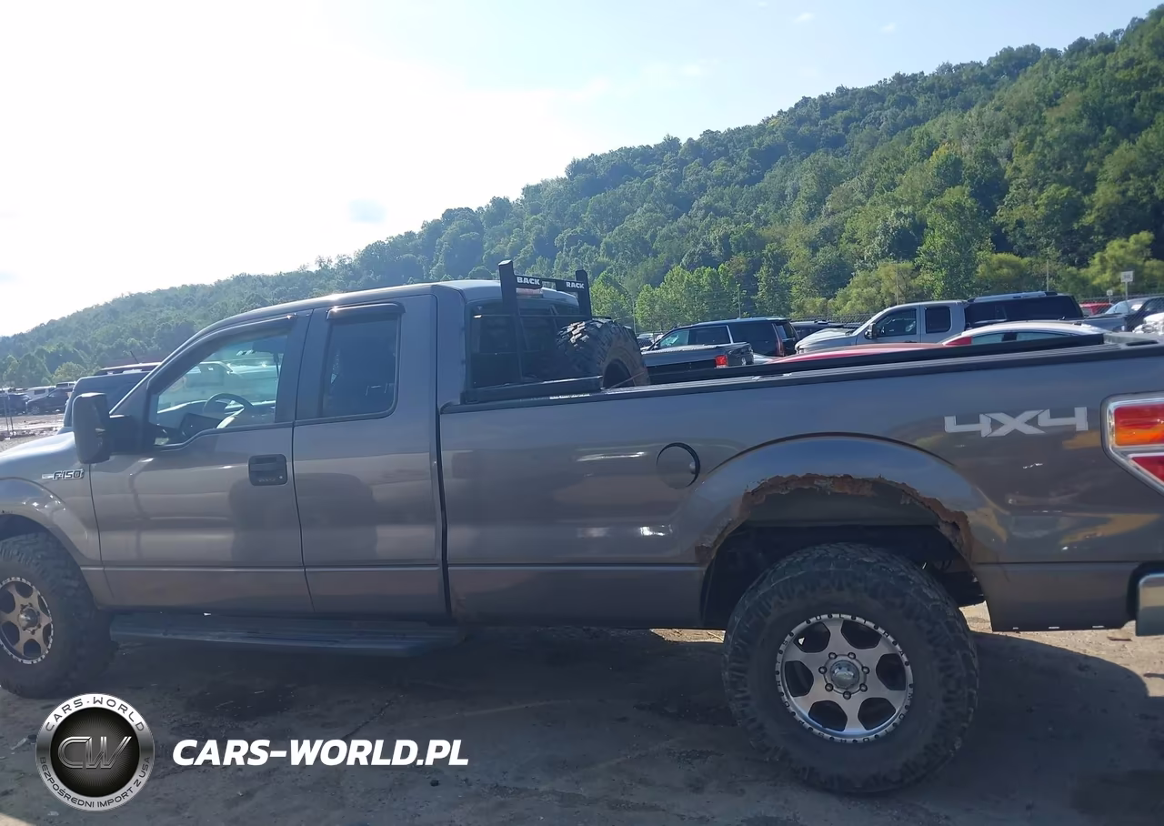 2010 Ford F-150 Xlt W-Hd Payload Pkg VIN:1FTVX1EV7AKE55901 - 14