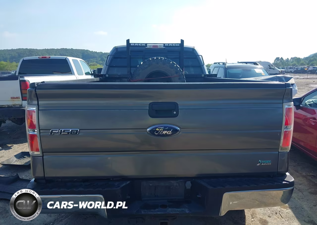 2010 Ford F-150 Xlt W-Hd Payload Pkg VIN:1FTVX1EV7AKE55901 - 16