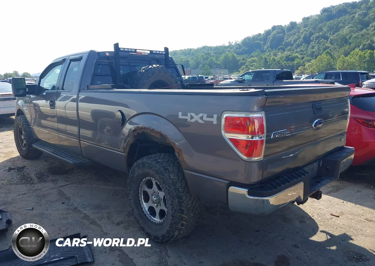 2010 Ford F-150 Xlt W-Hd Payload Pkg VIN:1FTVX1EV7AKE55901 - 3