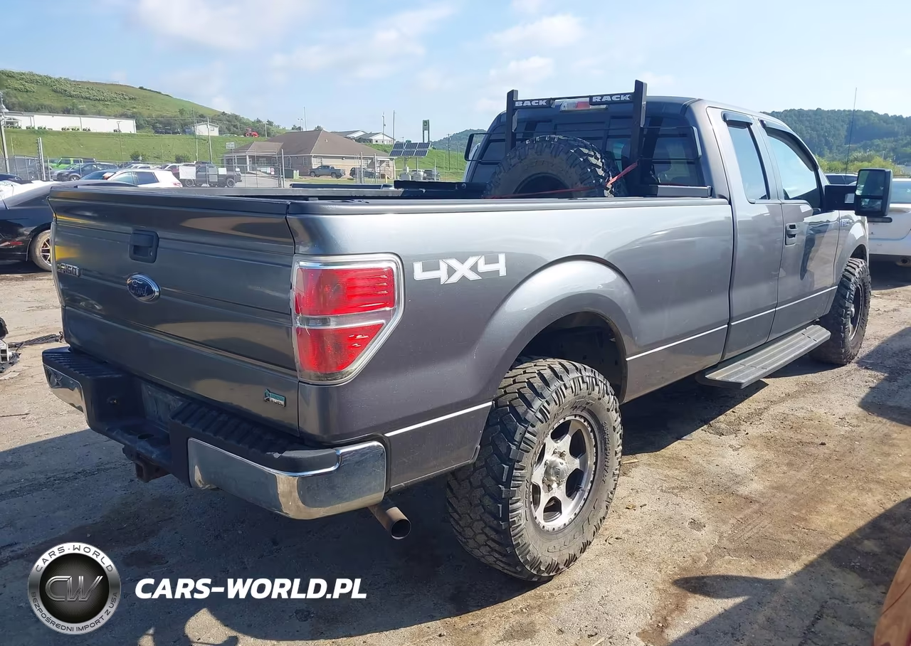 2010 Ford F-150 Xlt W-Hd Payload Pkg VIN:1FTVX1EV7AKE55901 - 4