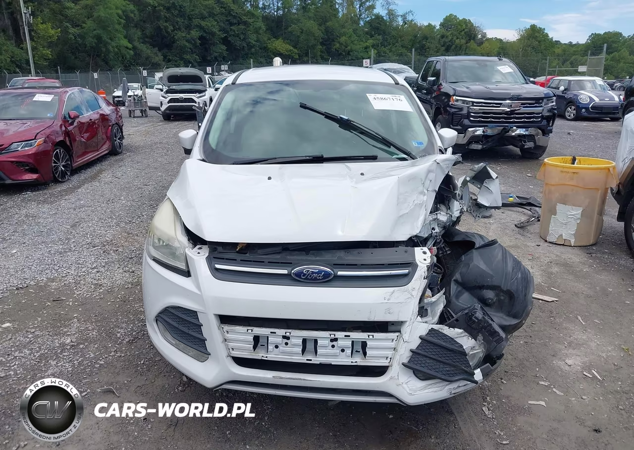 2013 Ford Escape Se VIN:1FMCU9GX7DUA24699 - 12