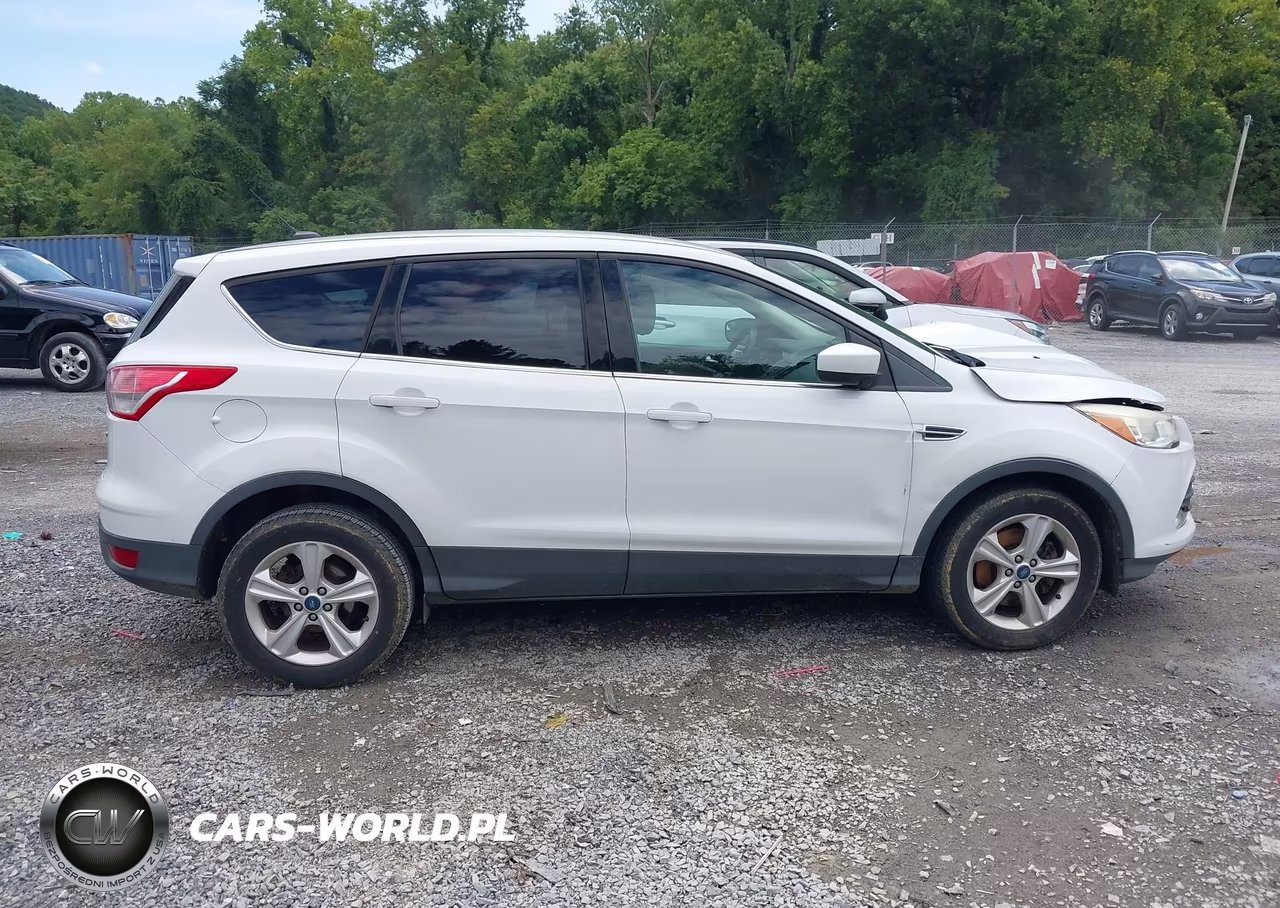 2013 Ford Escape Se VIN:1FMCU9GX7DUA24699 - 13