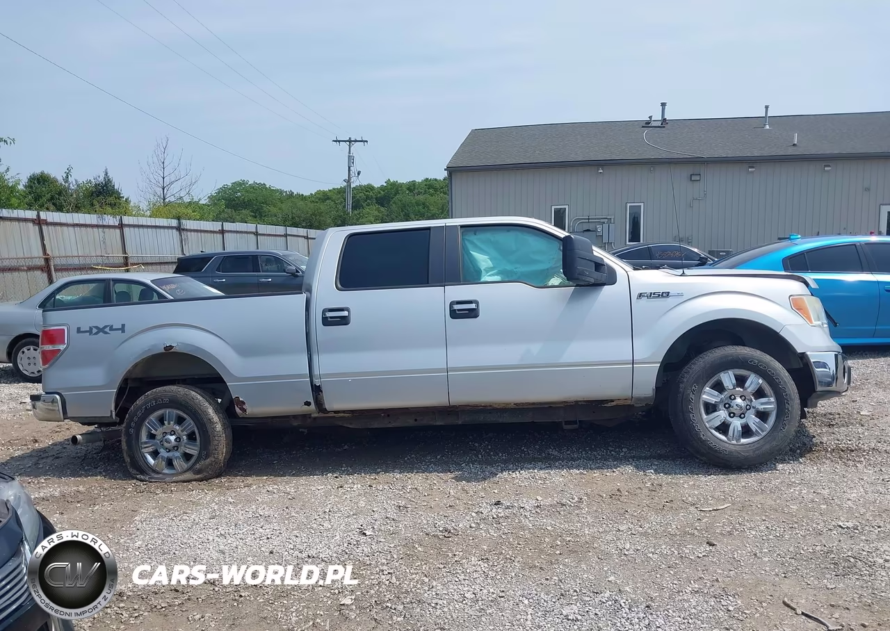 2010 Ford F-150 Fx4-Harley-Davidson-King Ranch-Lariat-Platinum-Xl-Xlt VIN:1FTFW1EV4AFD53178 - 12