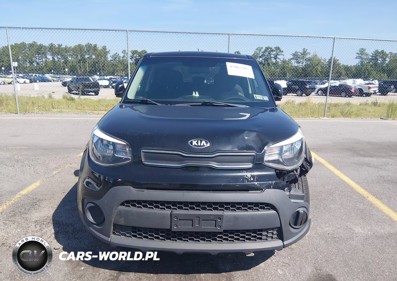 2019 Kia Soul VIN:KNDJN2A24K7024684 - 12
