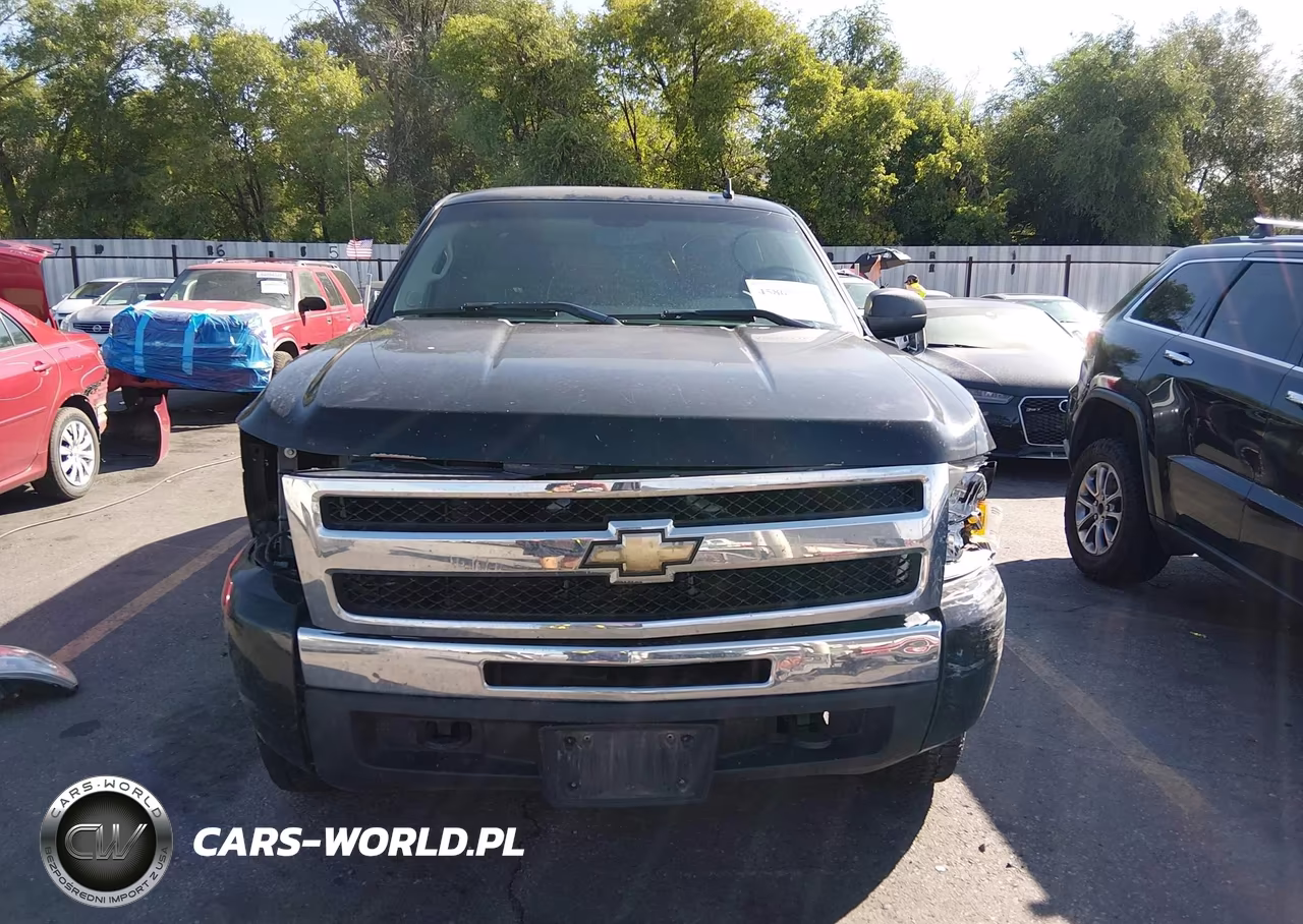 2010 Chevrolet Silverado 1500 Ls VIN:1GCSKREA7AZ108525 - 12