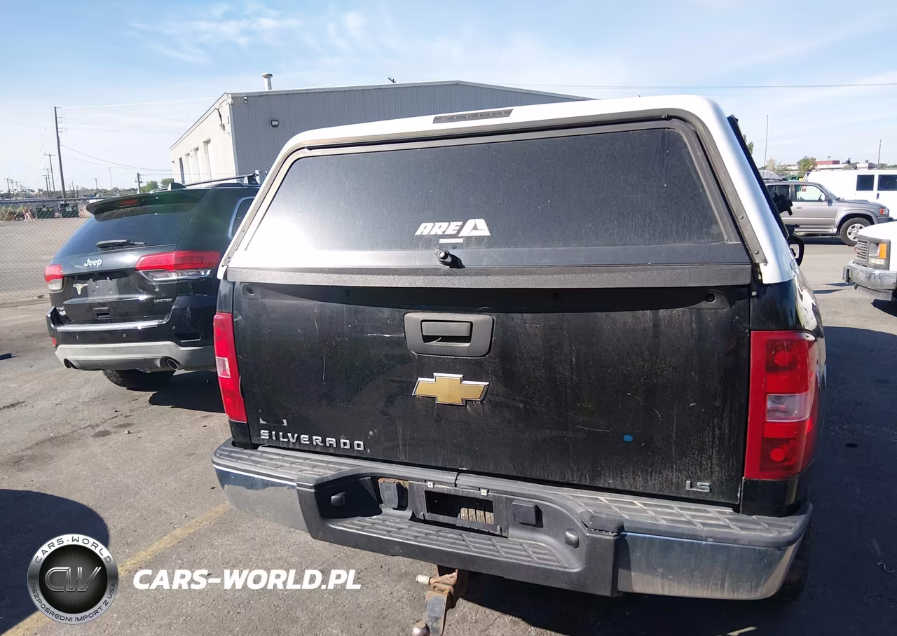 2010 Chevrolet Silverado 1500 Ls VIN:1GCSKREA7AZ108525 - 16