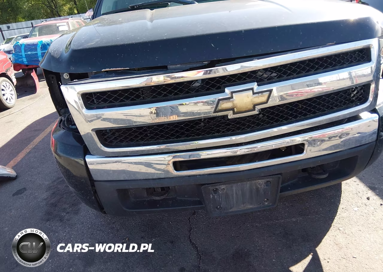 2010 Chevrolet Silverado 1500 Ls VIN:1GCSKREA7AZ108525 - 18
