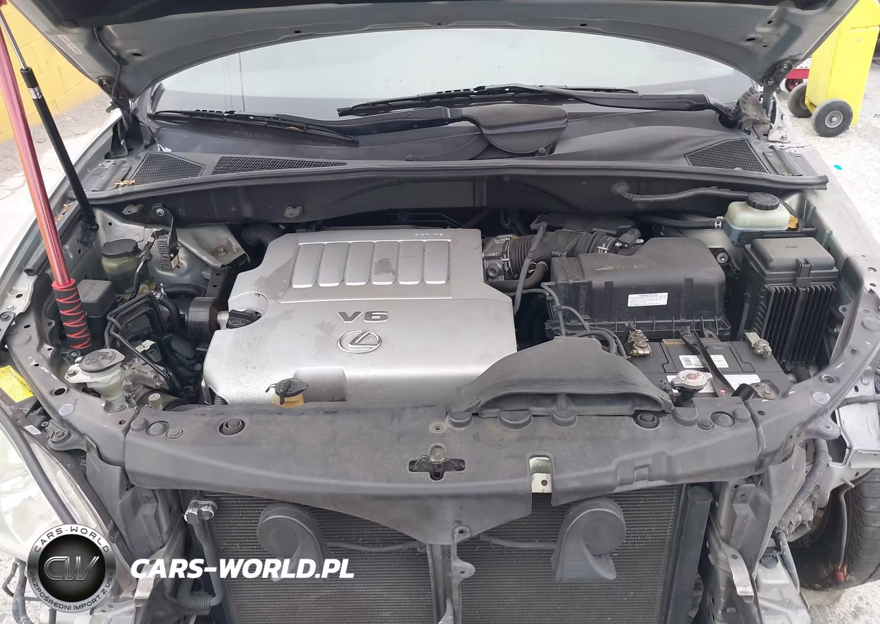 2007 Lexus Rx 350 VIN:JTJGK31U370006264 - 10