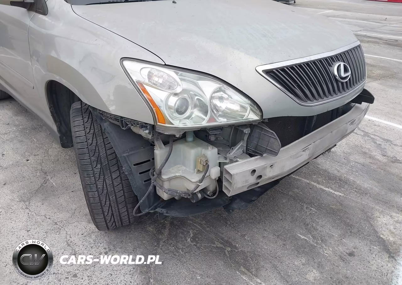 2007 Lexus Rx 350 VIN:JTJGK31U370006264 - 18