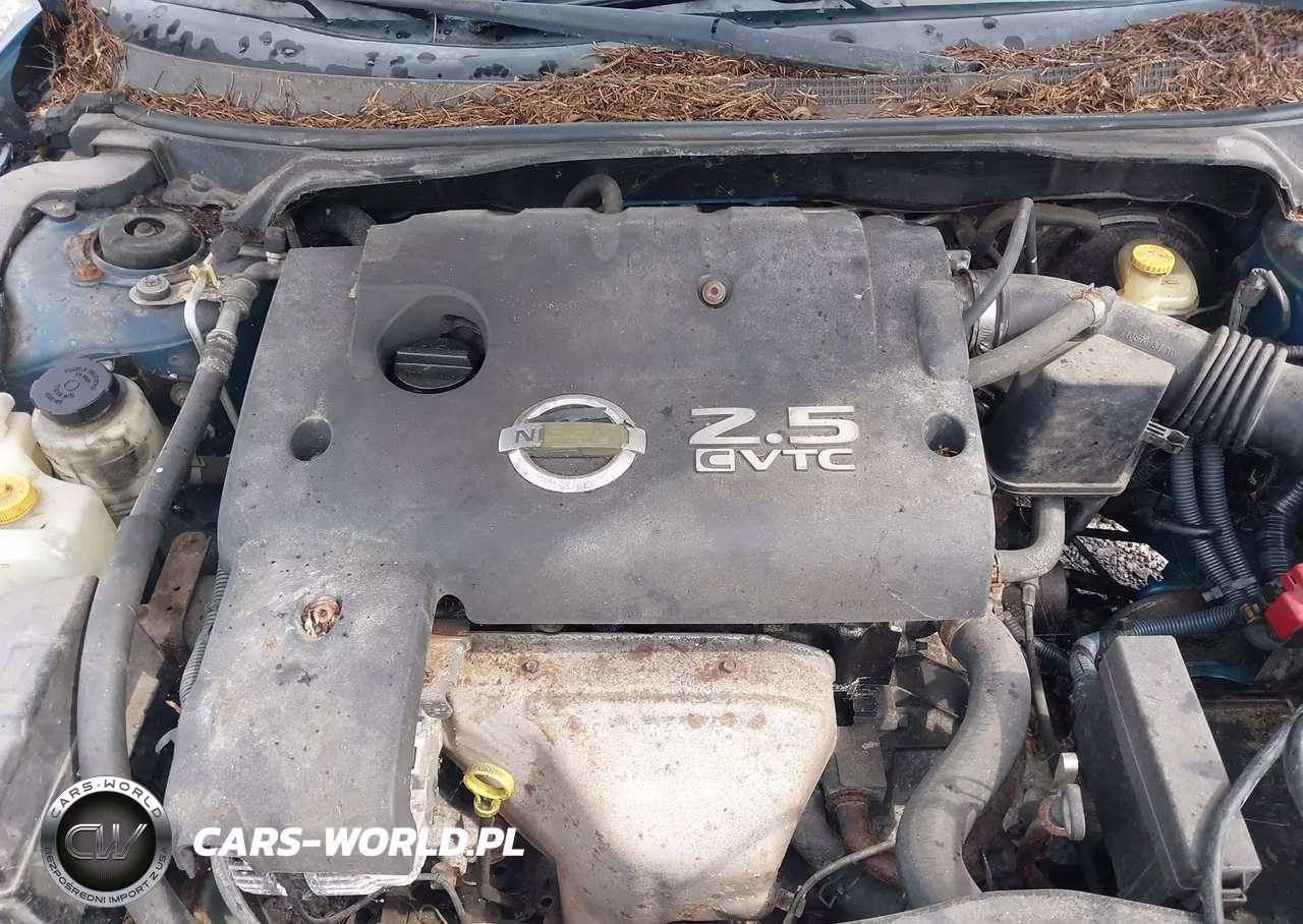 2003 Nissan Altima 2.5 S VIN:1N4AL11D23C149621 - 10