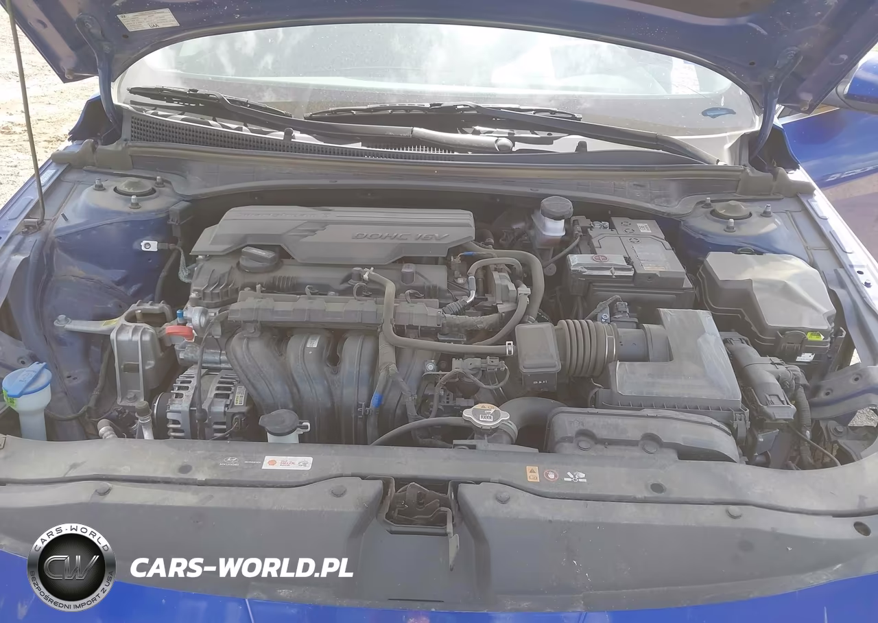 2024 Hyundai Elantra Sel VIN:KMHLS4DG7RU789299 - 10