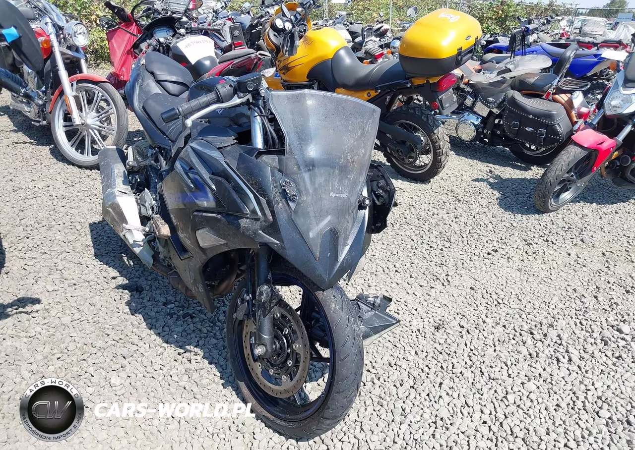 2025 Kawasaki Ex500 A-B – zdjęcie 1 z 13