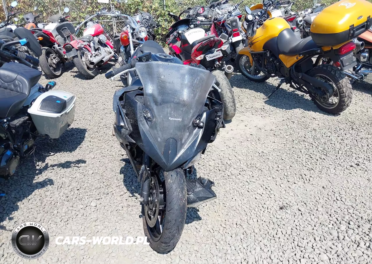 2025 Kawasaki Ex500 A-B VIN:ML5EXGJ17SDA63686 - 5