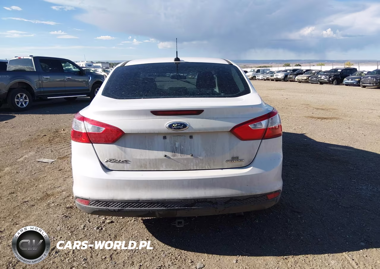 2014 Ford Focus Se VIN:1FADP3F25EL247209 - 17