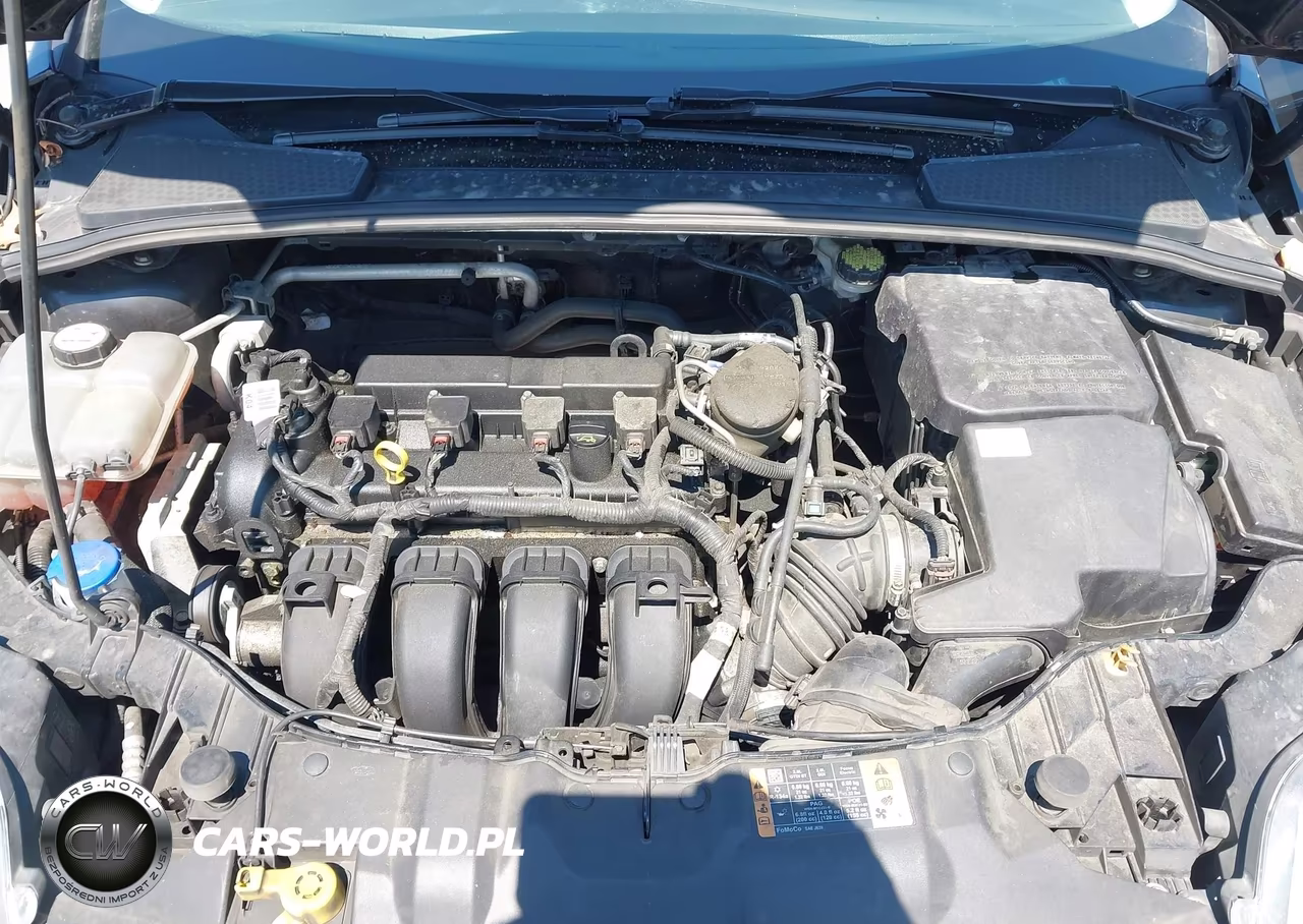 2014 Ford Focus Se VIN:1FADP3F23EL408009 - 10