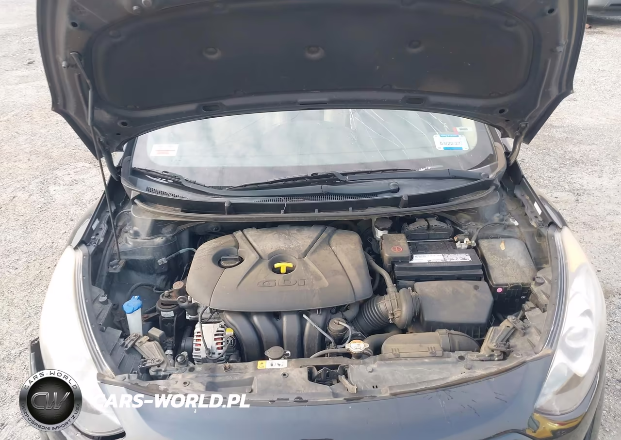 2016 Hyundai Elantra Gt VIN:KMHD35LH3GU317910 - 10