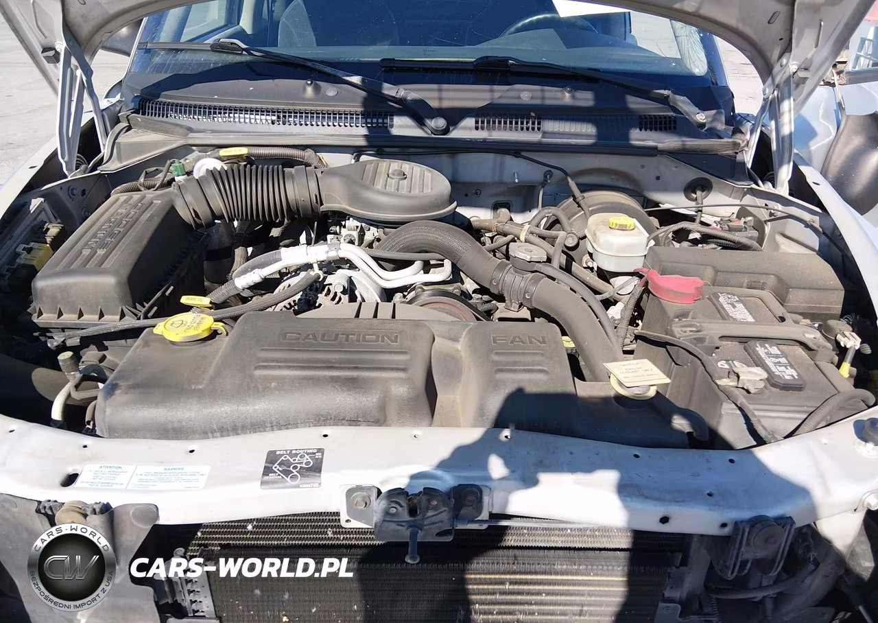 2001 Dodge Dakota Slt-Sport VIN:1B7GL22X31S213929 - 10