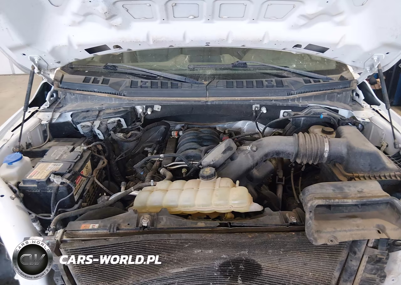2019 Ford F-150 Xl VIN:1FTFX1E52KKD18838 - 10