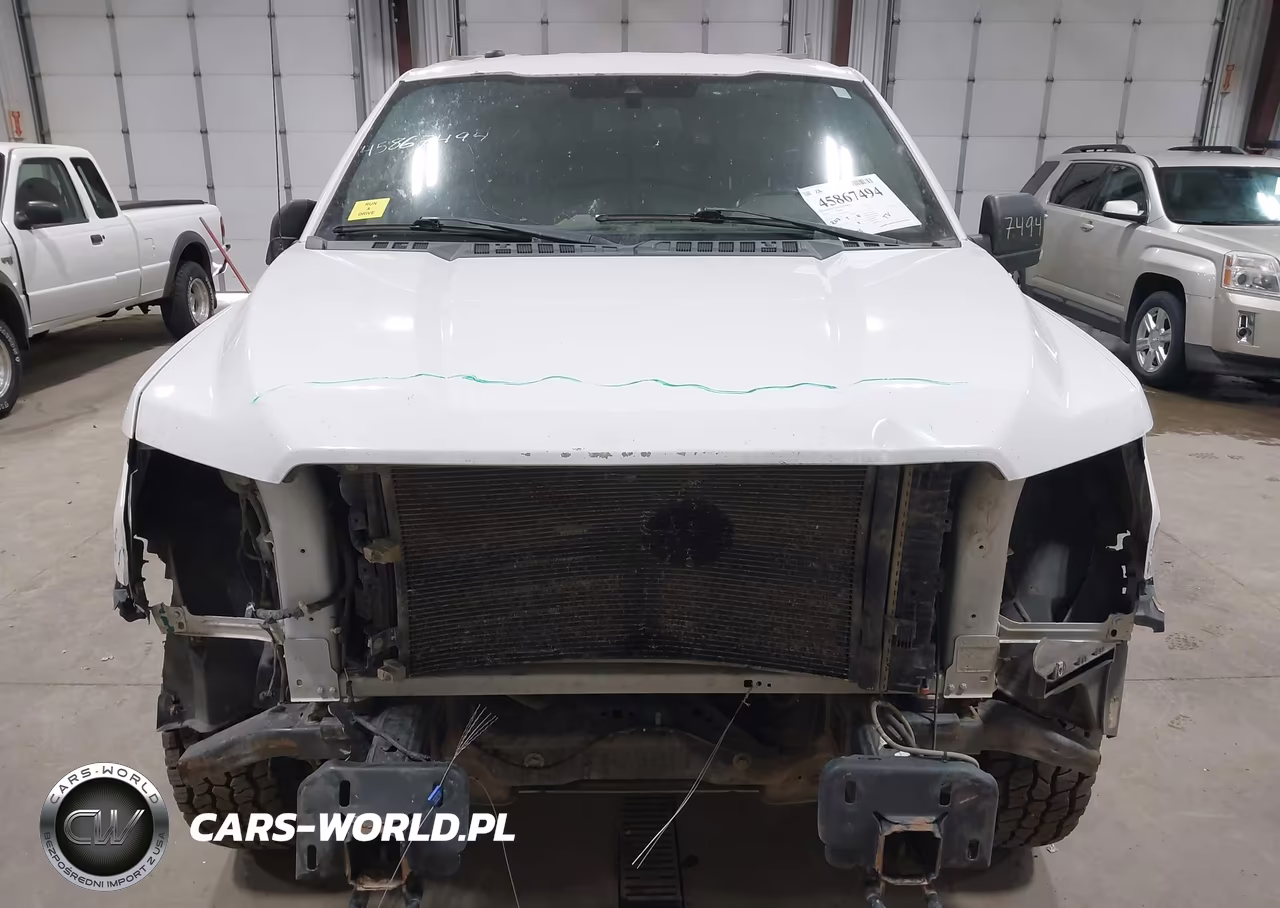 2019 Ford F-150 Xl VIN:1FTFX1E52KKD18838 - 13