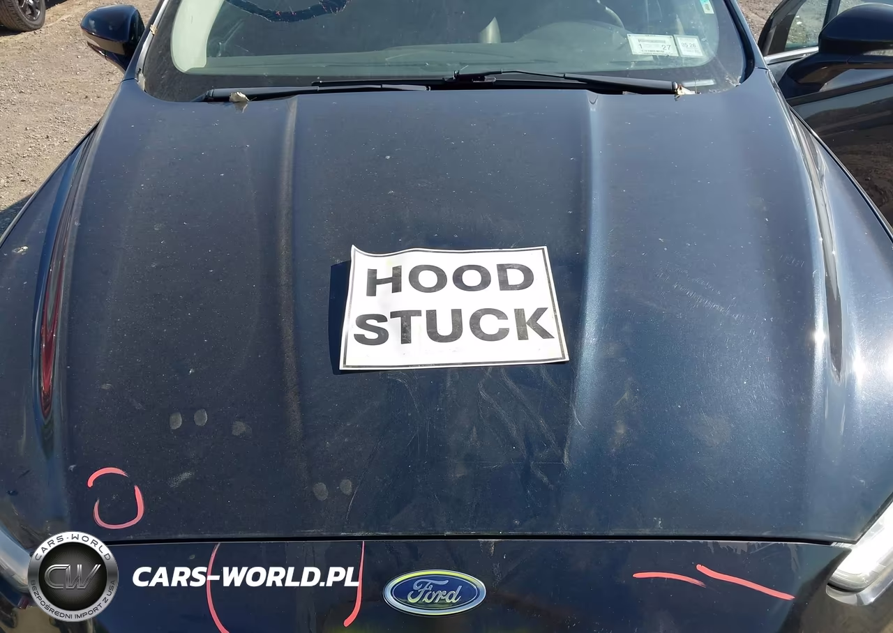 2014 Ford Fusion Se VIN:3FA6P0H79ER197433 - 10