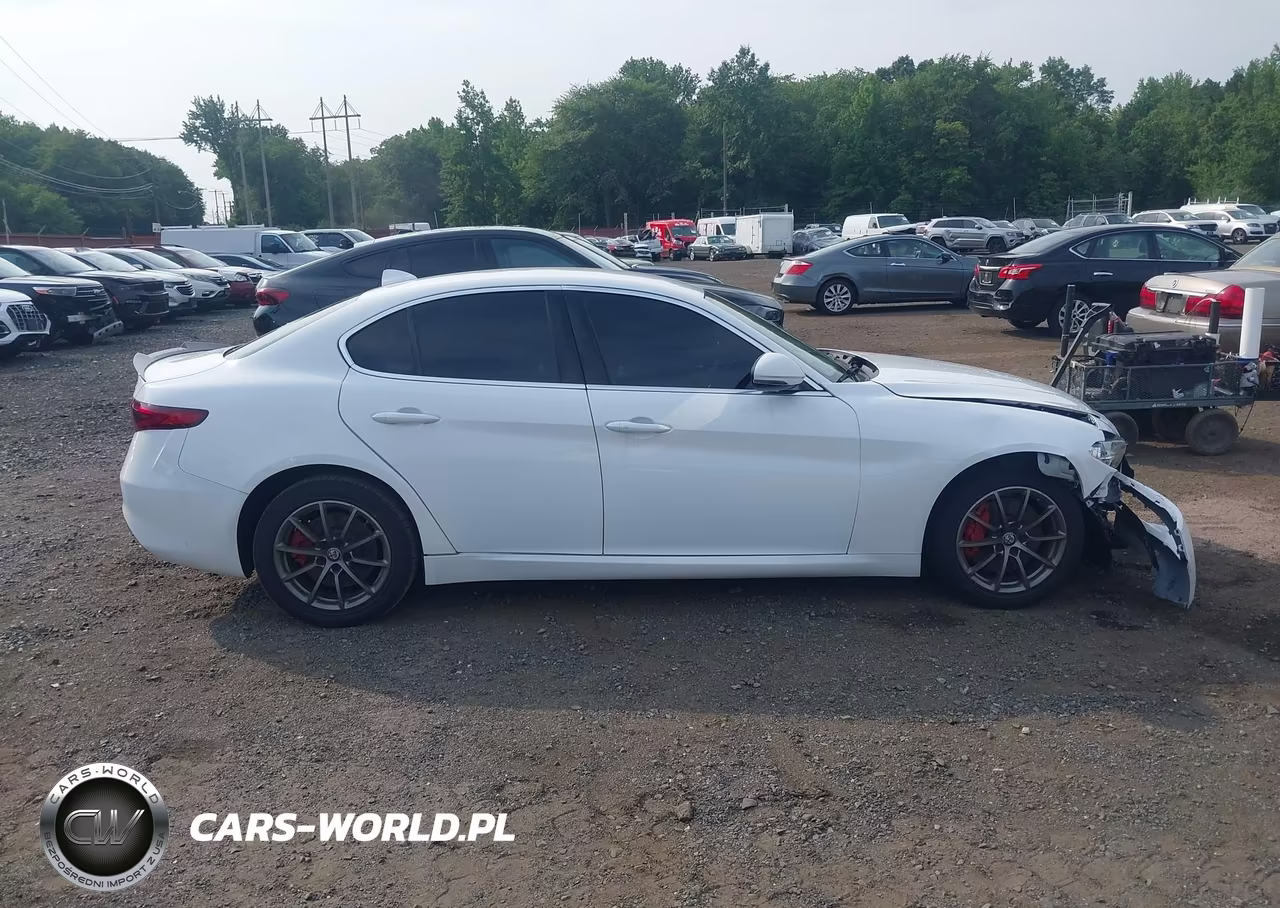 2019 Alfa Romeo Giulia Awd VIN:ZARFANAN8K7603440 - 13