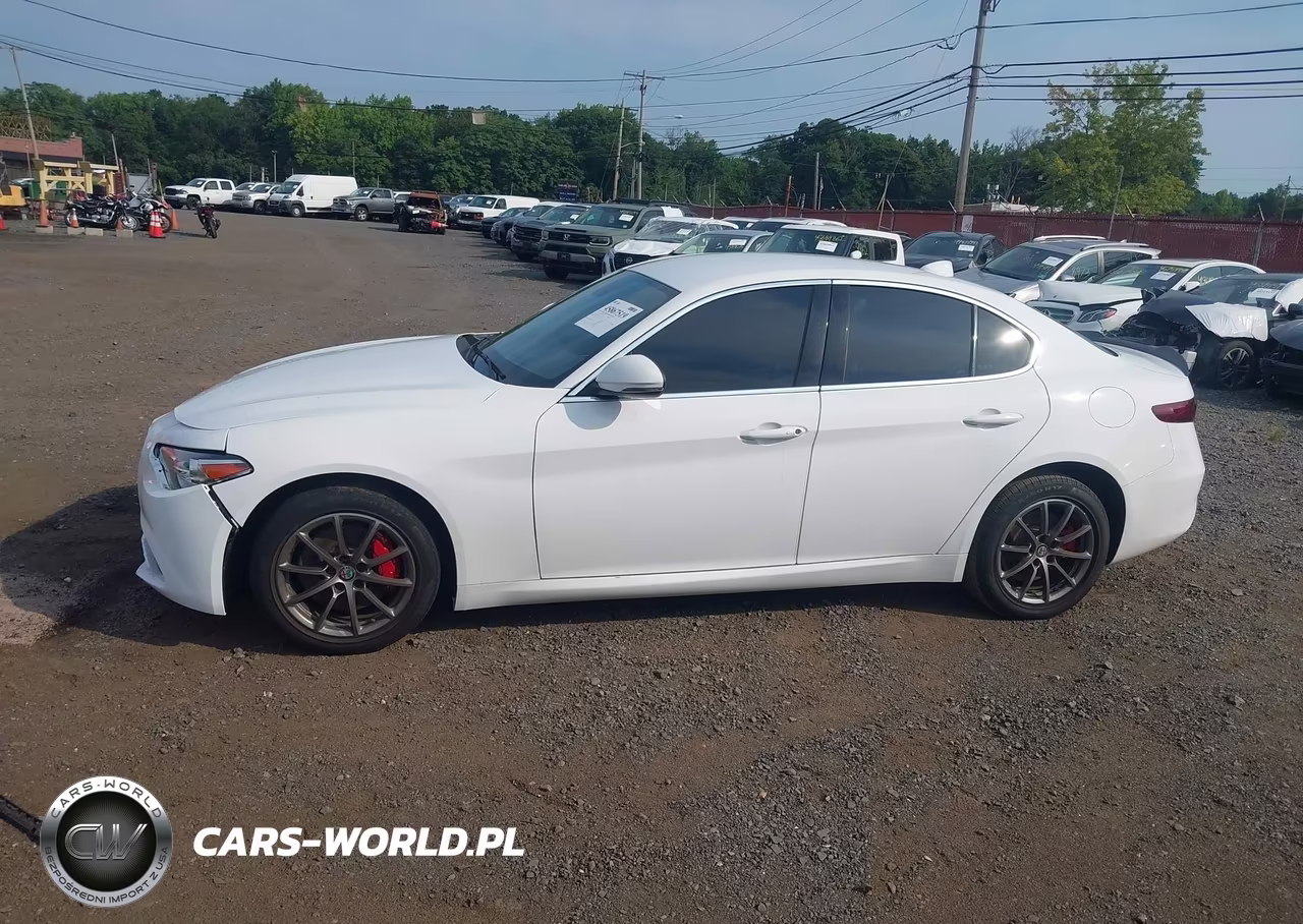 2019 Alfa Romeo Giulia Awd VIN:ZARFANAN8K7603440 - 14