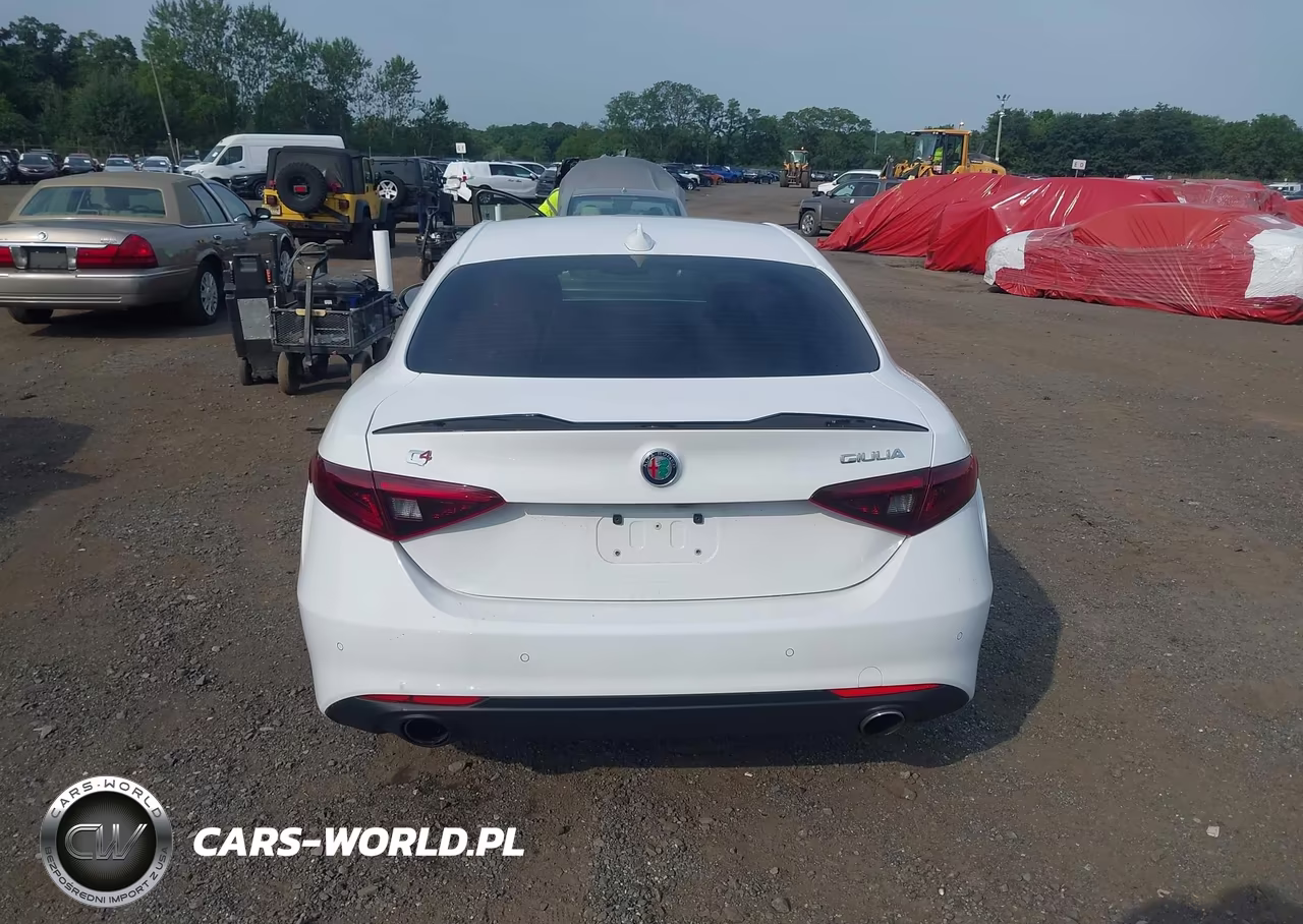 2019 Alfa Romeo Giulia Awd VIN:ZARFANAN8K7603440 - 16