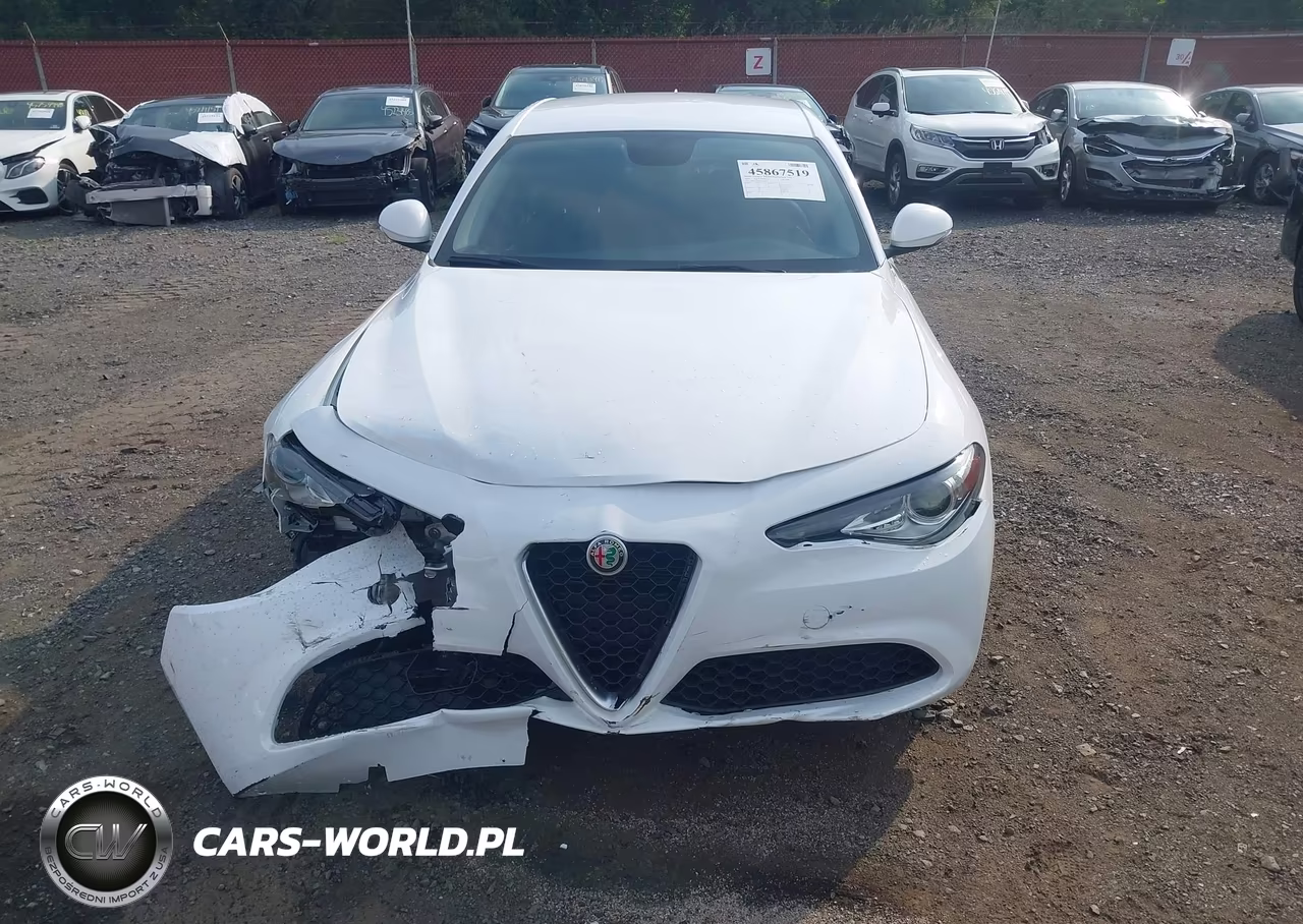 2019 Alfa Romeo Giulia Awd VIN:ZARFANAN8K7603440 - 17
