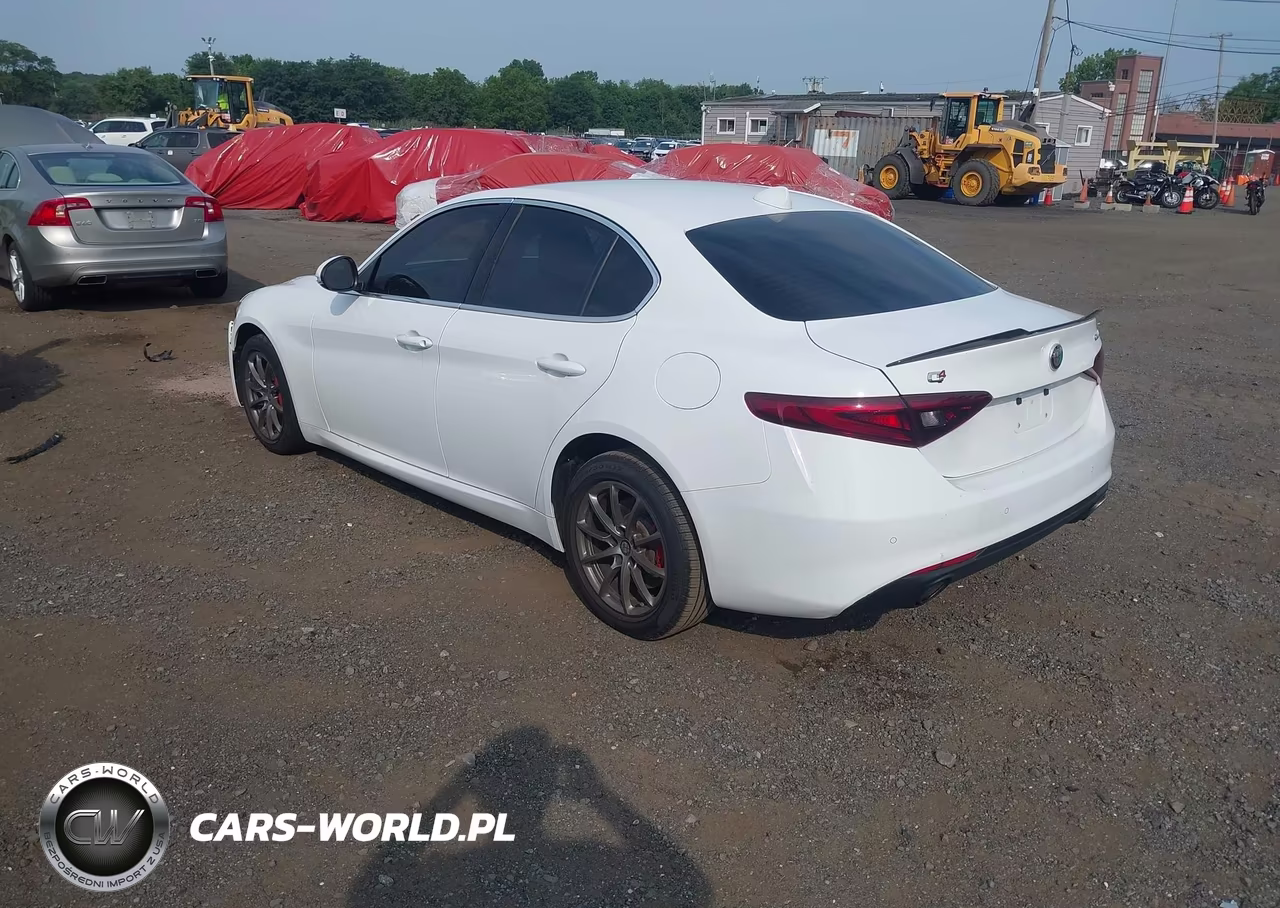 2019 Alfa Romeo Giulia Awd VIN:ZARFANAN8K7603440 - 3