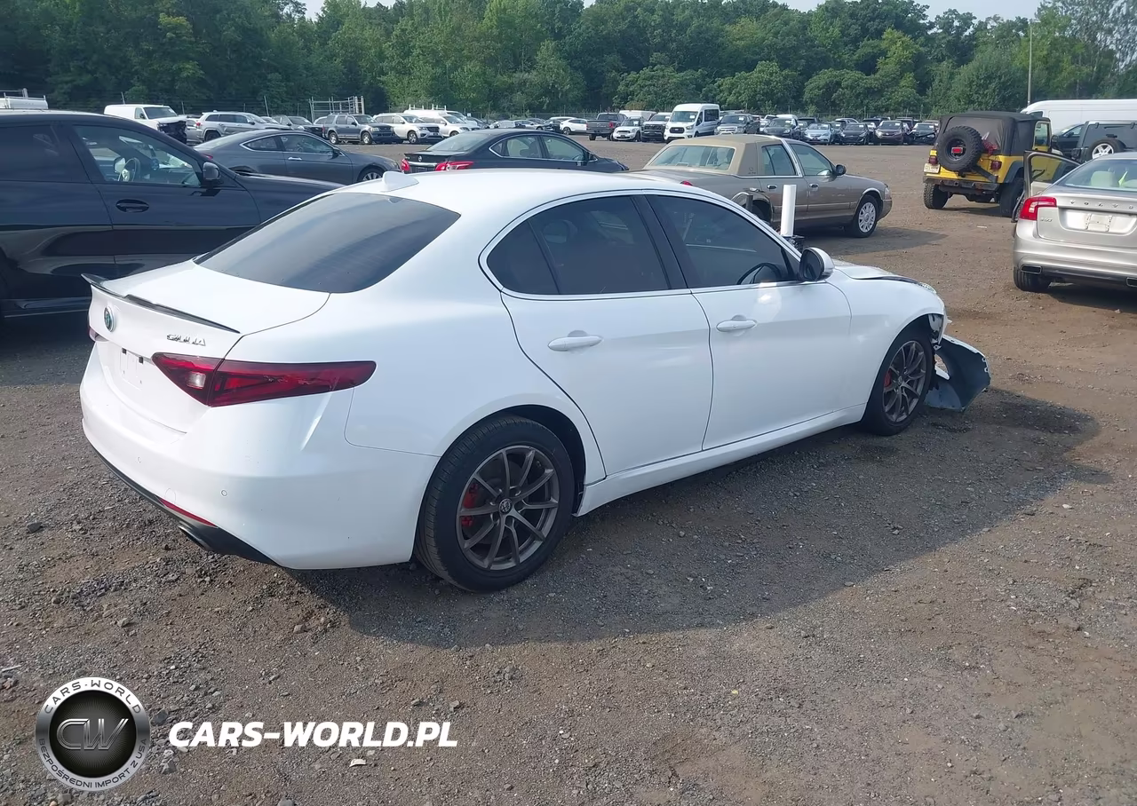 2019 Alfa Romeo Giulia Awd VIN:ZARFANAN8K7603440 - 4