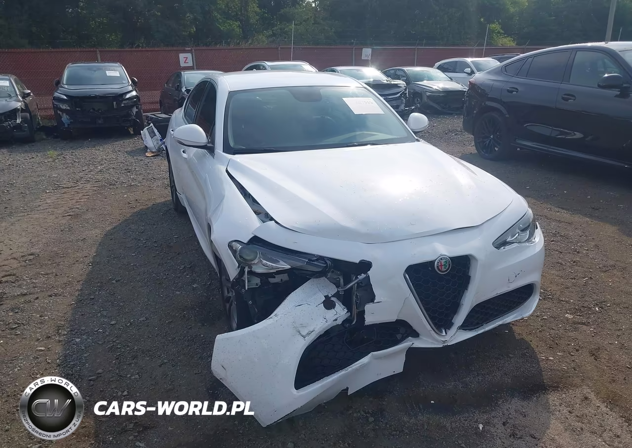 2019 Alfa Romeo Giulia Awd VIN:ZARFANAN8K7603440 - 6