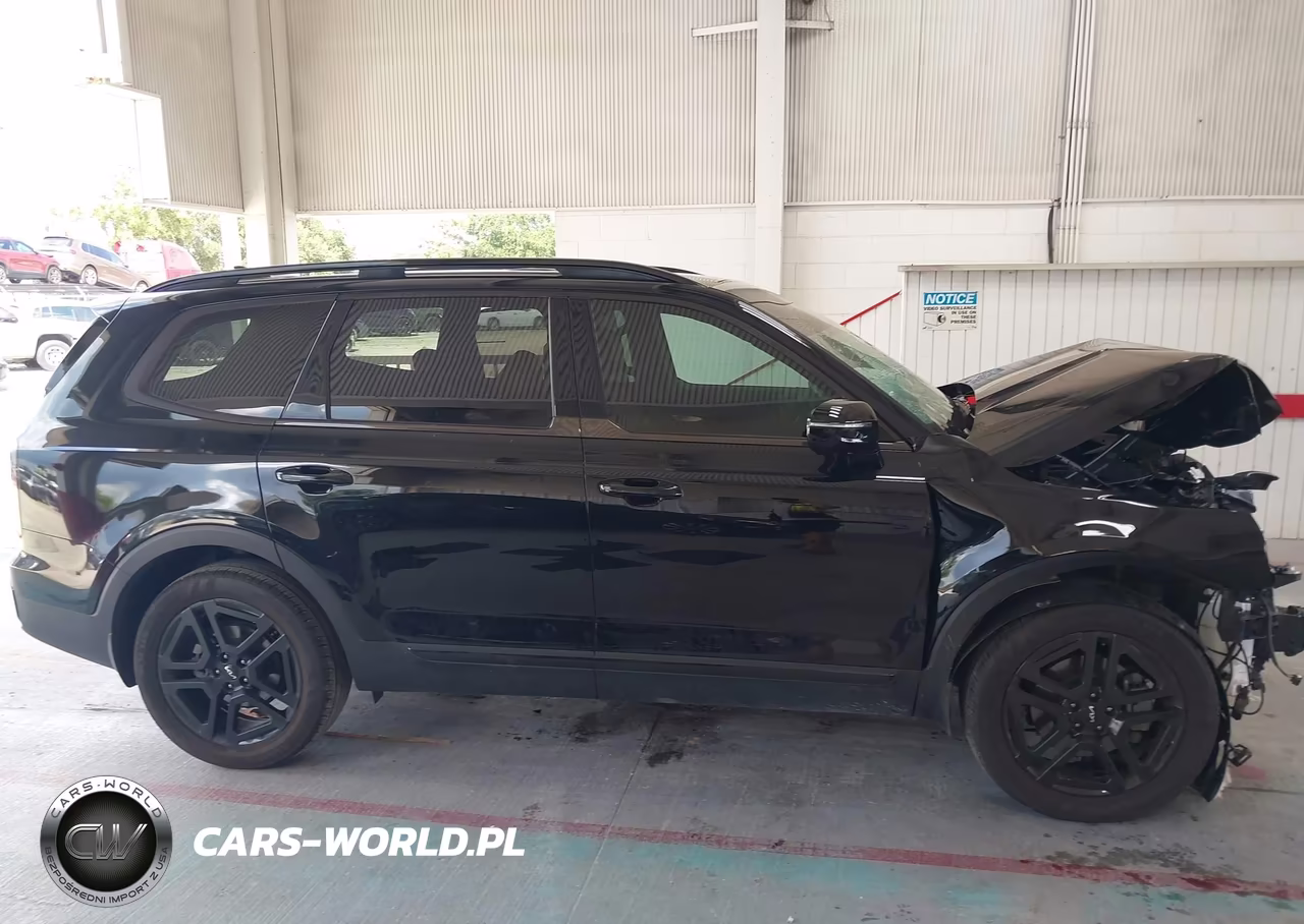 2024 Kia Telluride Sx X-Line VIN:5XYP5DGC8RG438165 - 13