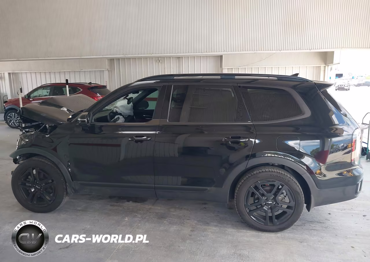 2024 Kia Telluride Sx X-Line VIN:5XYP5DGC8RG438165 - 14