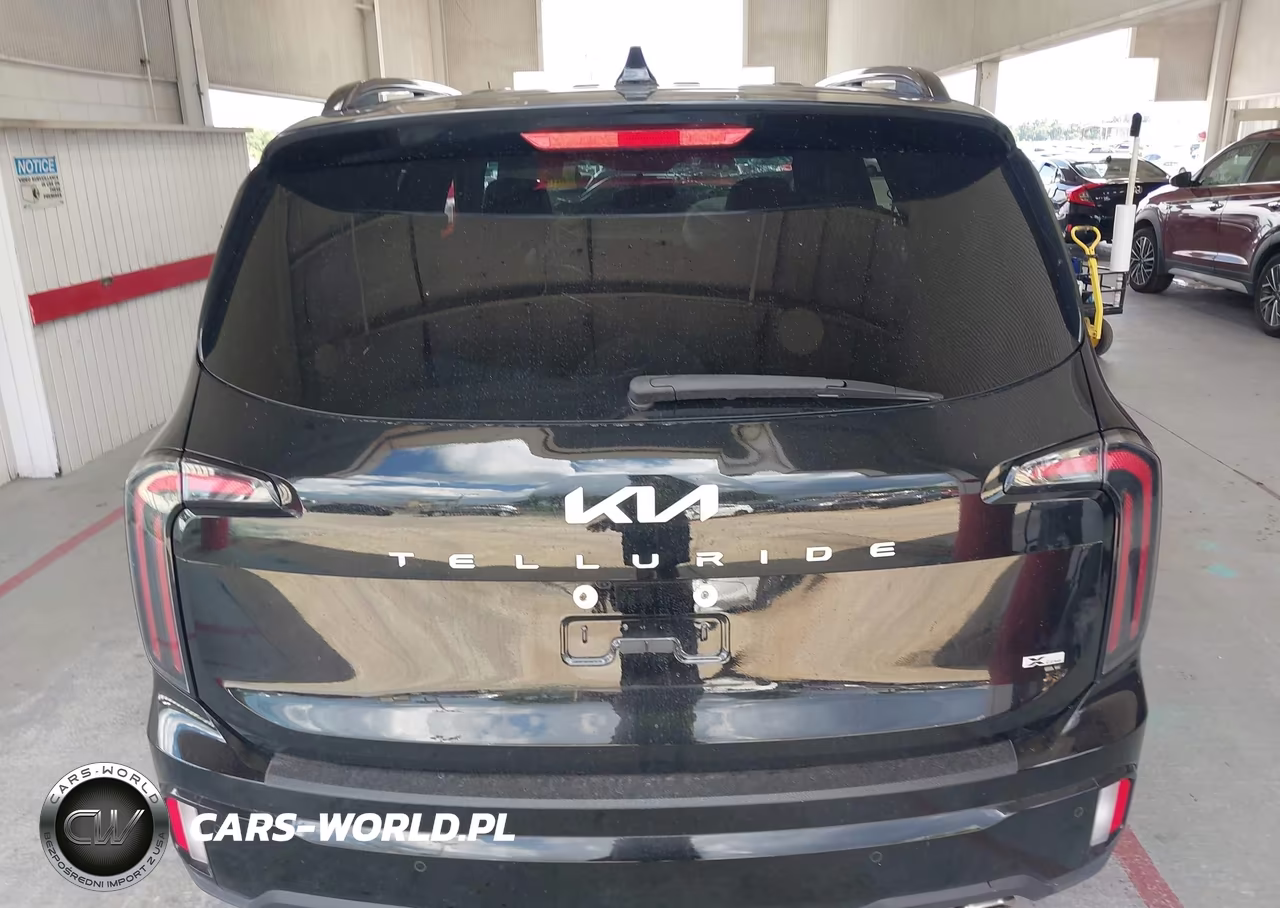 2024 Kia Telluride Sx X-Line VIN:5XYP5DGC8RG438165 - 16