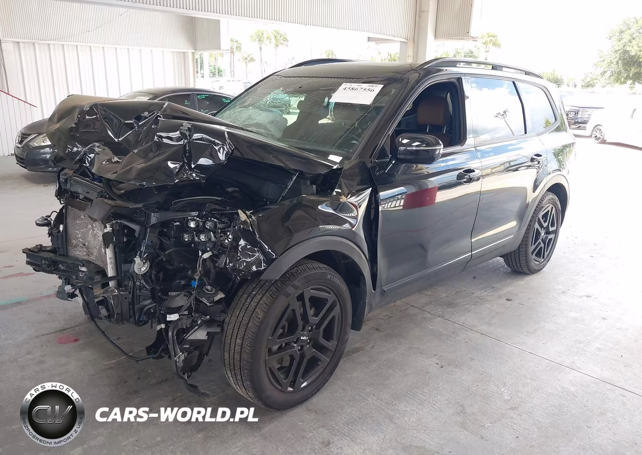 2024 Kia Telluride Sx X-Line VIN:5XYP5DGC8RG438165 - 2