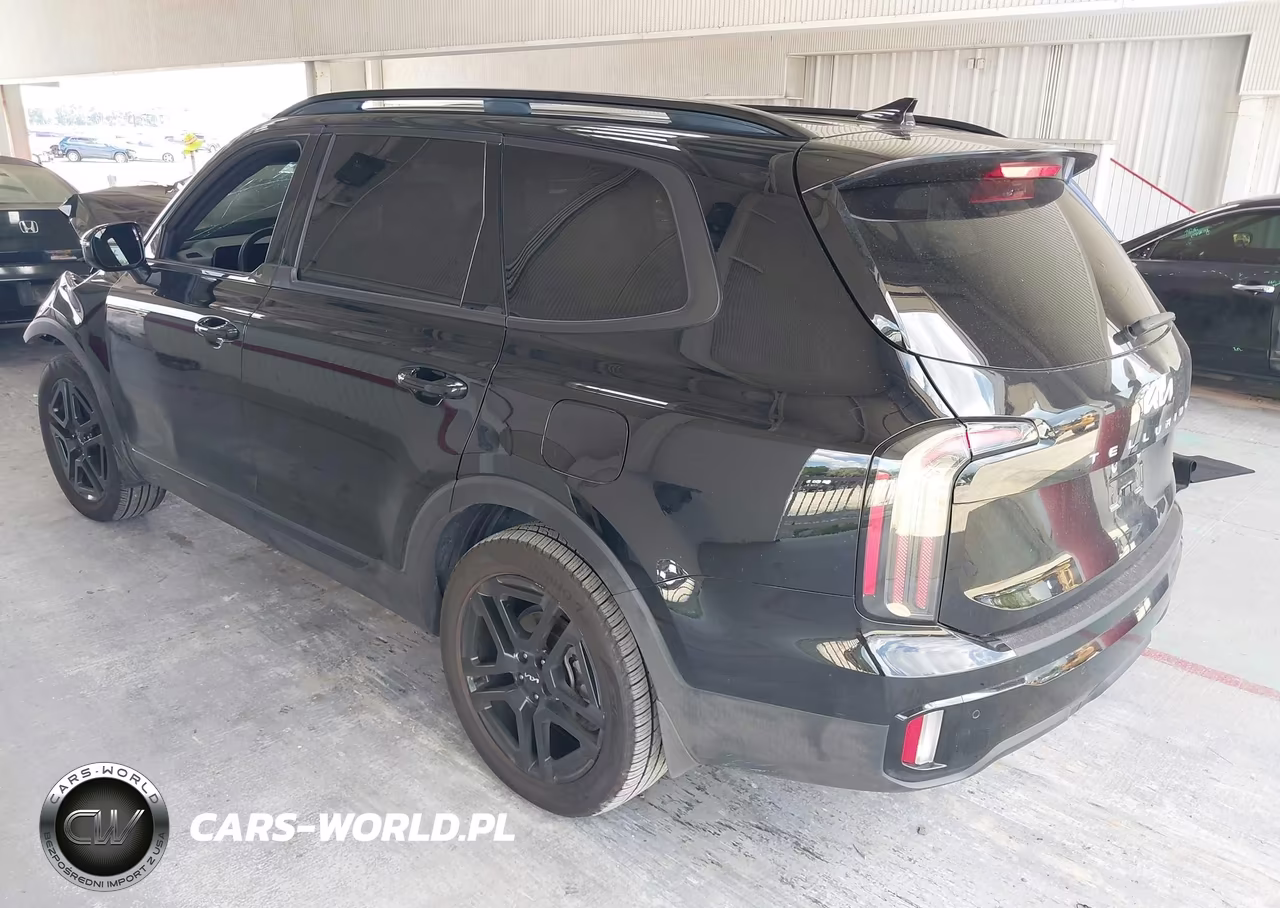 2024 Kia Telluride Sx X-Line VIN:5XYP5DGC8RG438165 - 3