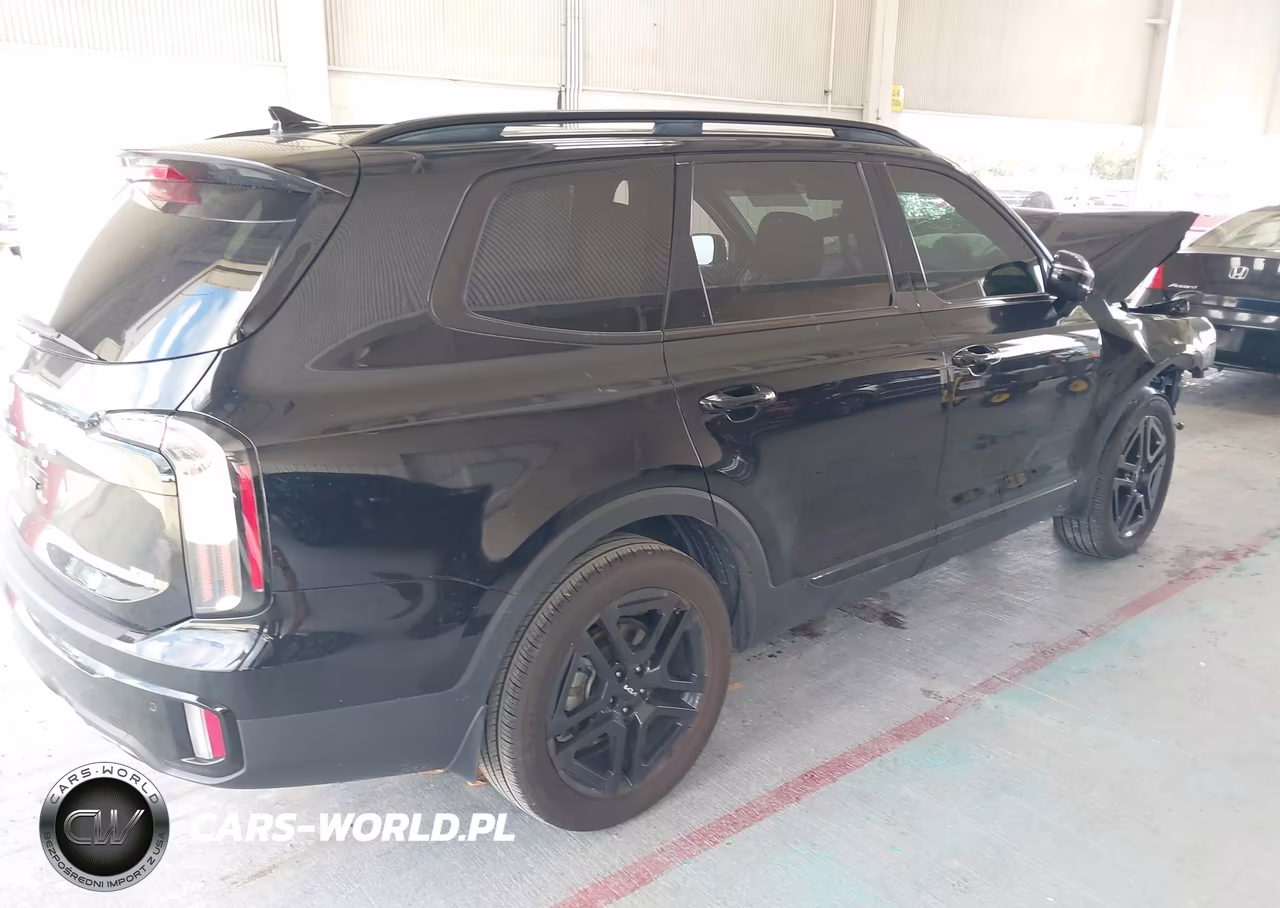 2024 Kia Telluride Sx X-Line VIN:5XYP5DGC8RG438165 - 4