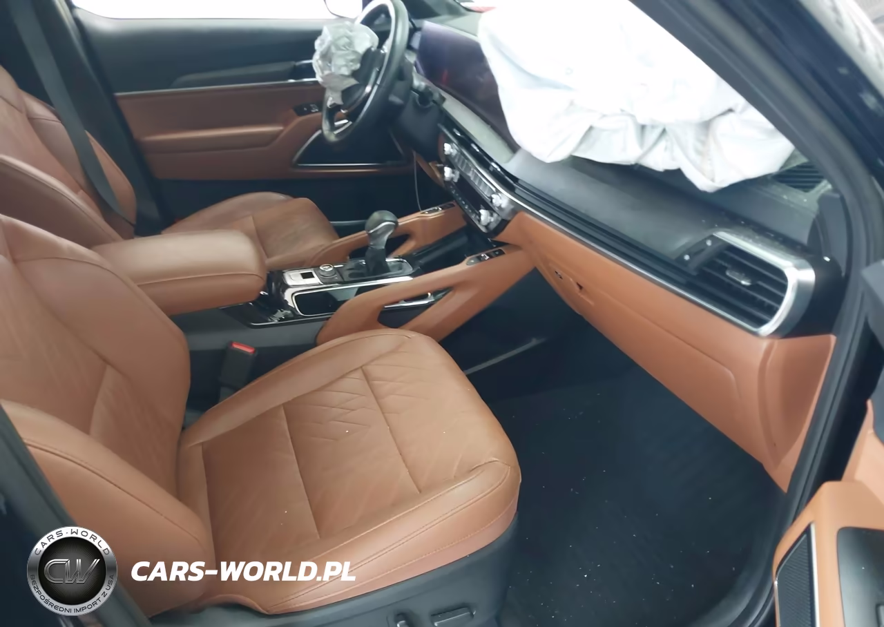 2024 Kia Telluride Sx X-Line VIN:5XYP5DGC8RG438165 - 5