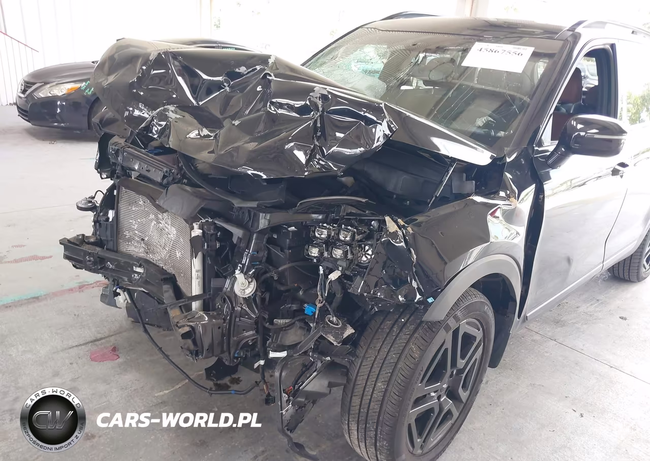 2024 Kia Telluride Sx X-Line VIN:5XYP5DGC8RG438165 - 6